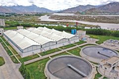 以数字化手段为绿色财产成长赋能是我区鞭策工